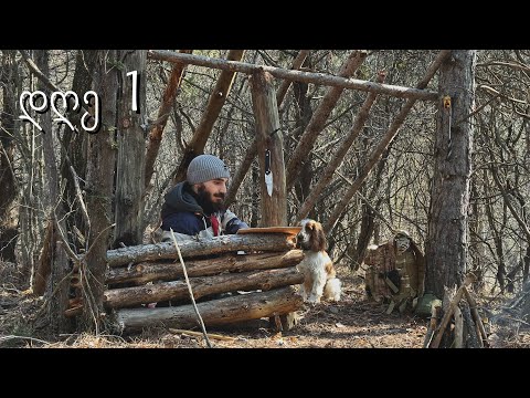 ახალი ქოხის აშენება ფიჭვნარში - პირველადი დახმარება ჩავიტარე ! ( ეპ.1 )